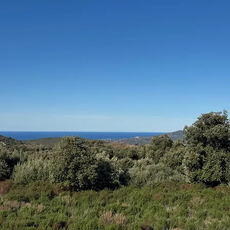 L'immortelle - T3 Avec Balcon Vue & Montagne Calenzana