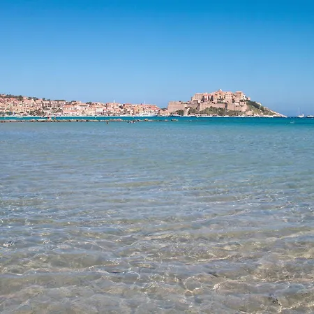 L'immortelle - T3 Avec Balcon Vue & Montagne Apartamento Calenzana