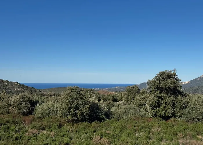 L'immortelle - T3 Avec Balcon Vue & Montagne Calenzana
